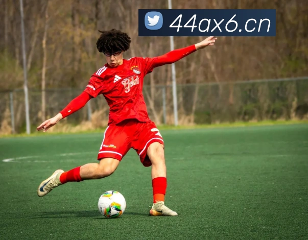 九游体育娱乐最新网站平台生态图